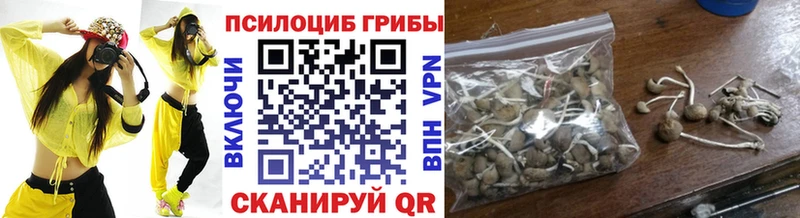Купить  Нахабино  Галлюциногенные грибы Psilocybe 
